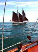 Rumregatta 2017 